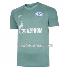 Schalke 04 Ausweich Trikotsatz 2020/21